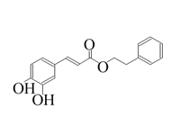 咖啡酸苯乙酯 