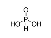 亞磷酸, AR, 99% 
