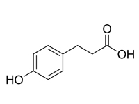 對羥基苯丙酸，98%