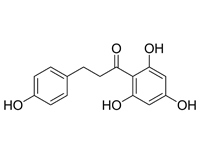 根皮素，98% 