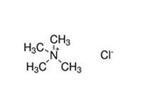 <em>四</em>甲基氯化銨，AR，99%