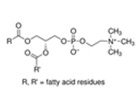 卵磷脂, BR
 

 
 